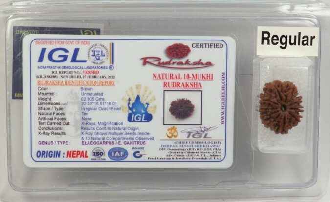 10 Mukhi Rudraksha | Regular 2.805 Gm.