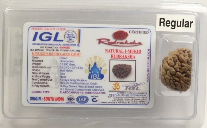 1RUD16 1 1 Mukhi Rudraksha | Regular