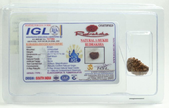 1RUD166 1 One Mukhi Rudraksha | Small