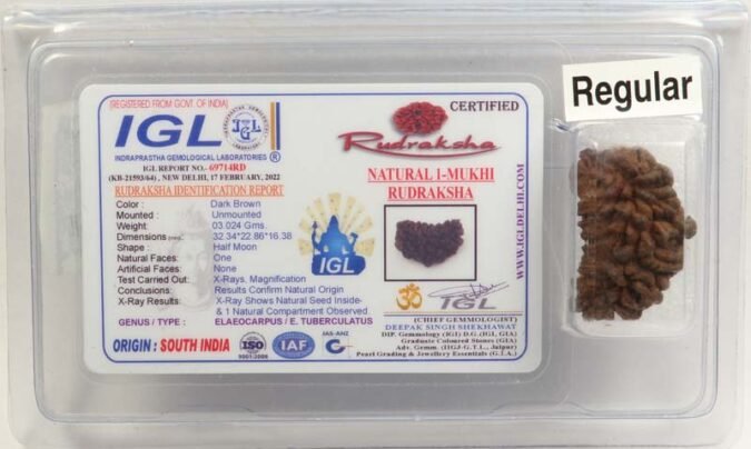 1RUD33 1 1 Mukhi Rudraksha | Regular