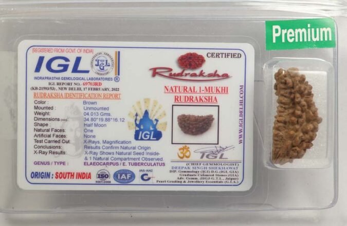 1RUD37 1 1 Mukhi Rudraksha | Premium