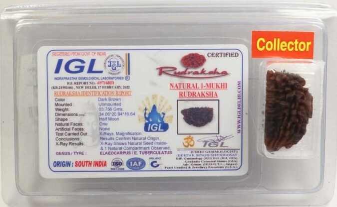1RUD60 1 1 Mukhi Rudraksha | Collector