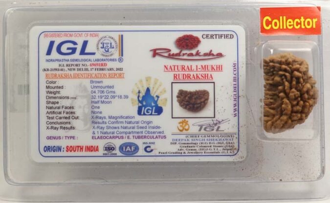 1RUD74 1 1 Mukhi Rudraksha | Collector