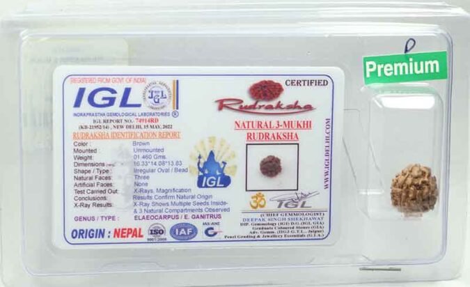 3RUD105 1 3 Mukhi Rudraksha | Premium