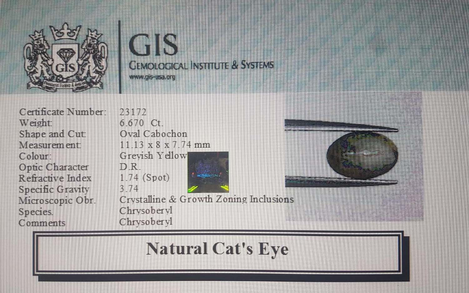 CCE29 4 Cat's Eye 6.67 Ct.
