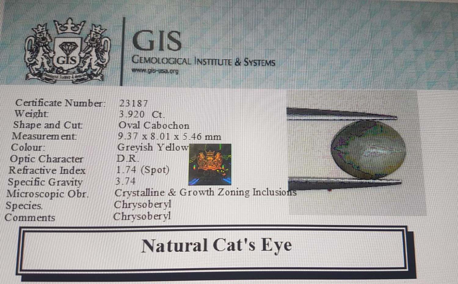 Cat's Eye 3.92 Ct.