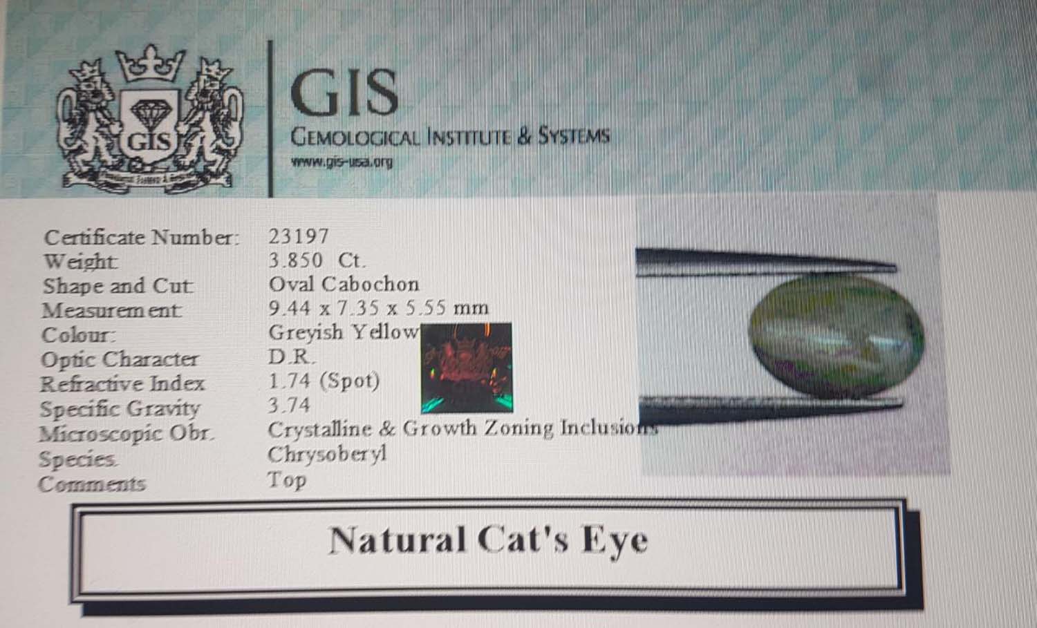 Cat's Eye 3.85 Ct.