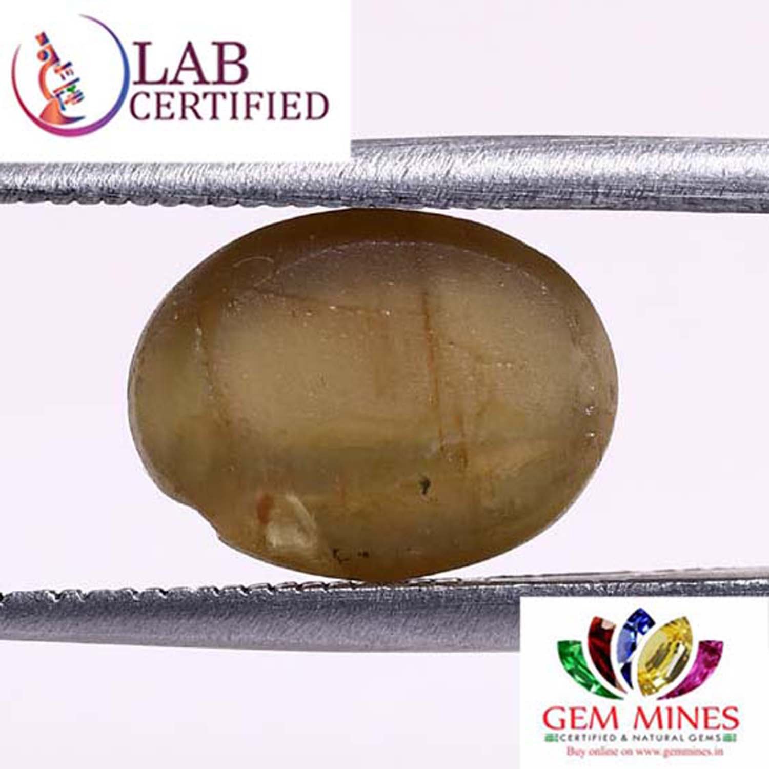 CE2020 2 Cat's Eye 4.79 Ct.