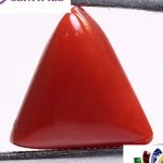 Coral 4.61 Ct.