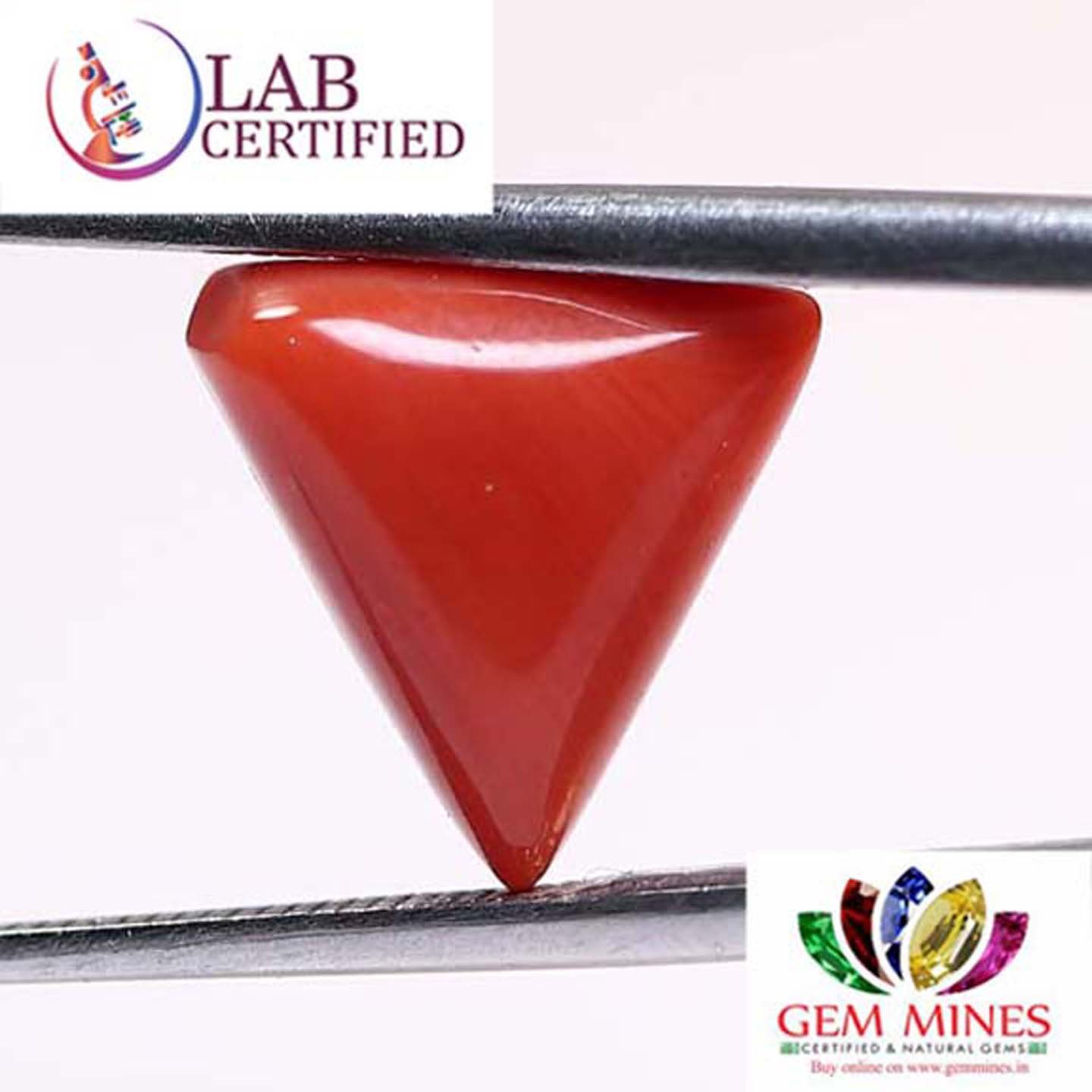 CRL2864 2 Coral 4.6 Ct.