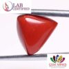 Coral 4.88 Ct.