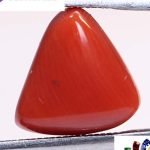 Coral 4.8 Ct.
