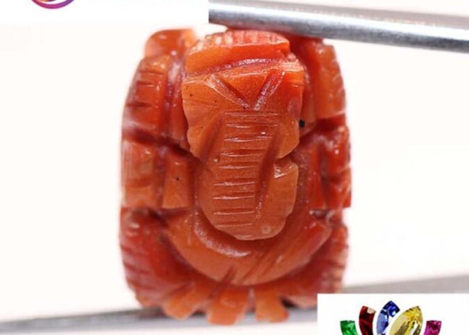 Ganesh Coral 16.48 Ct.