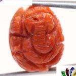 Ganesh Coral 15.02 Ct.
