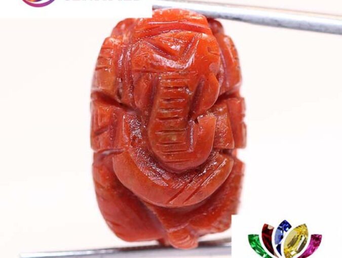 Ganesh Coral 17.95 Ct.