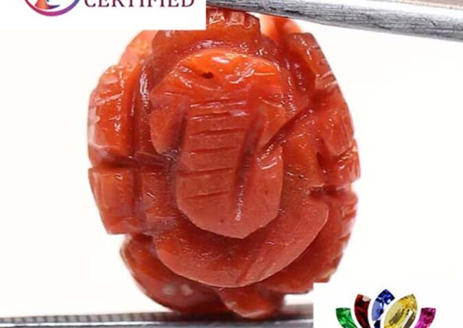 Ganesh Coral 9.91 Ct.