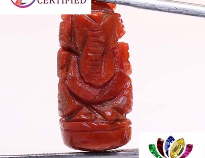 Ganesh Coral 8.58 Ct.