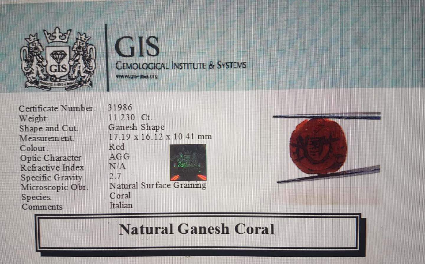 Ganesh Coral 11.23 Ct.