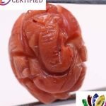 Ganesh Coral 14.67 Ct.