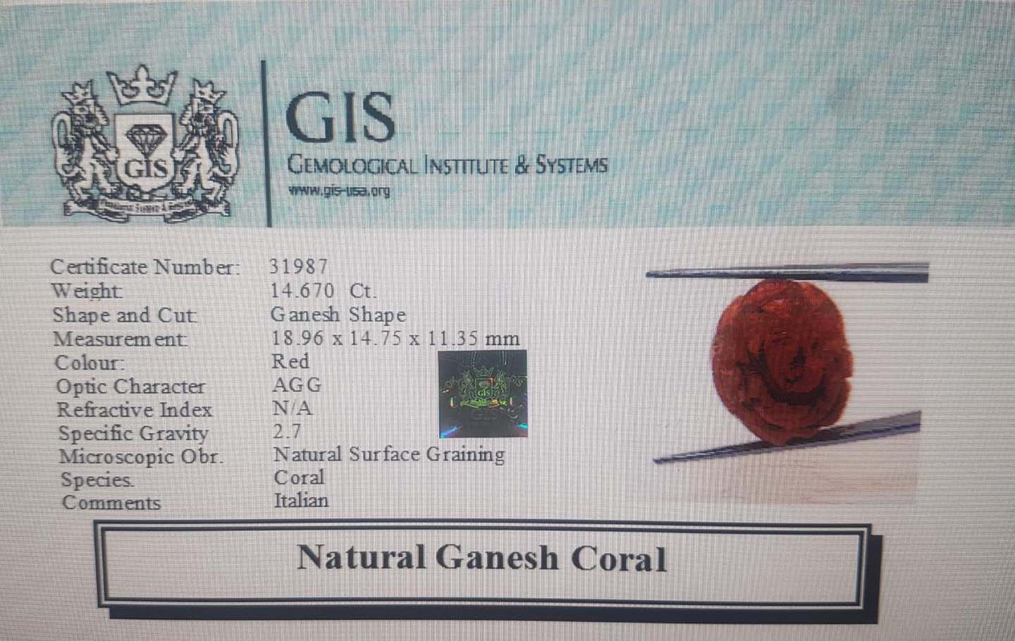 Ganesh Coral 14.67 Ct.