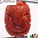 Ganesh Coral 13.68 Ct.
