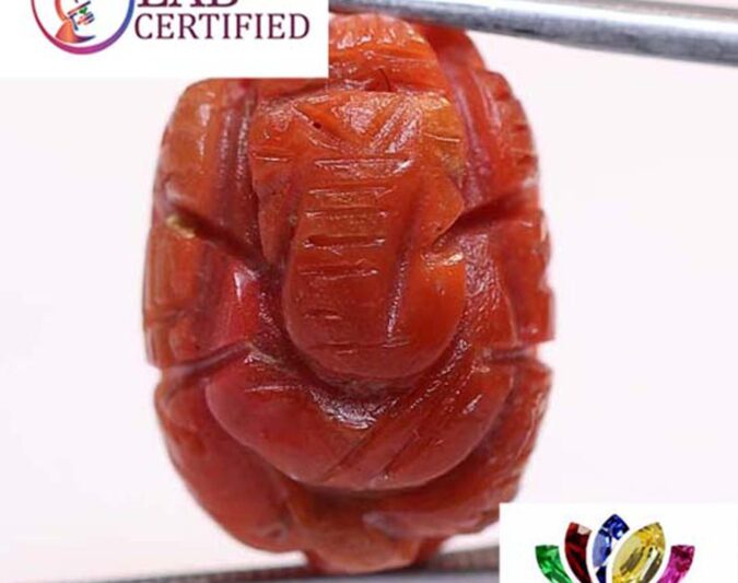 Ganesh Coral 13.68 Ct.