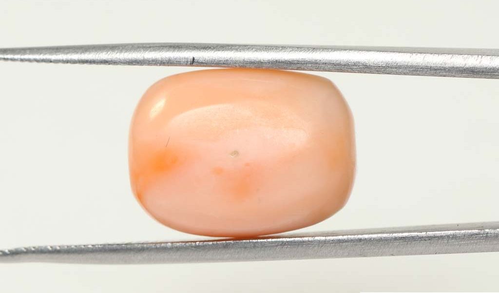 Coral 16.4 Ct.
