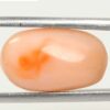 Coral 9.36 Ct.