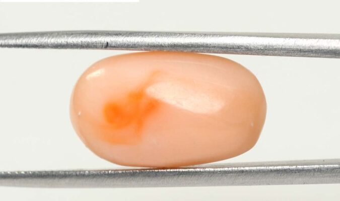 Coral 9.36 Ct.