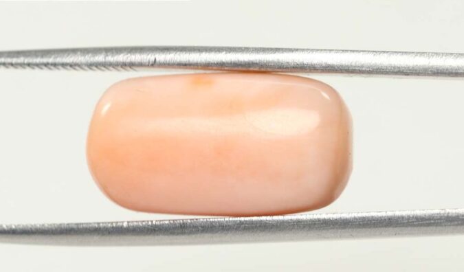 Coral 14.1 Ct.