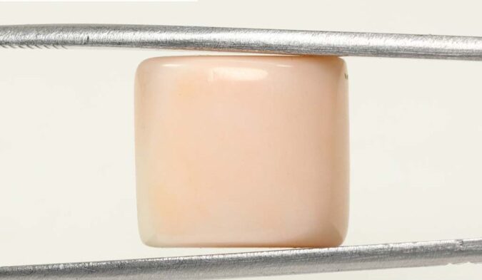 CRL3788 1 e1683001282795 Coral 12.76 Ct.