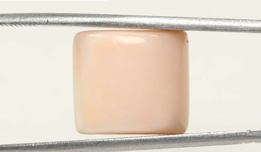 CRL3788 1 e1683001282795 Coral 12.76 Ct.