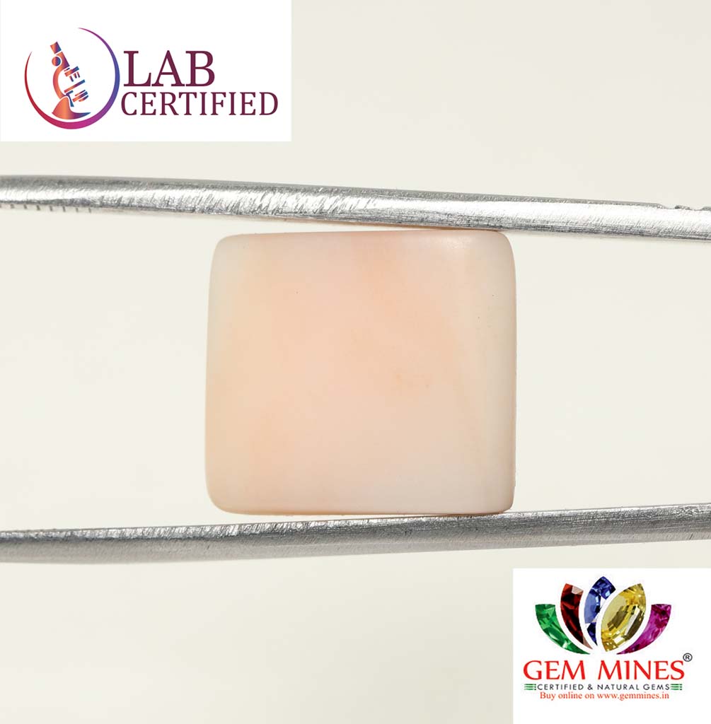 CRL3788 2 Coral 12.76 Ct.