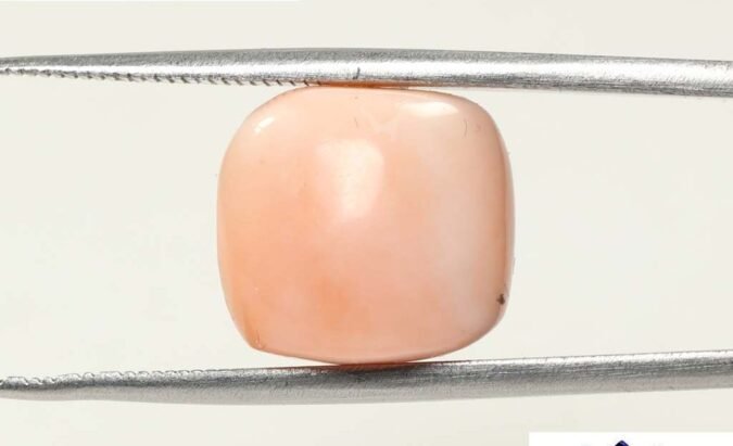 CRL3790 1 e1683001796547 Coral 11.29 Ct.
