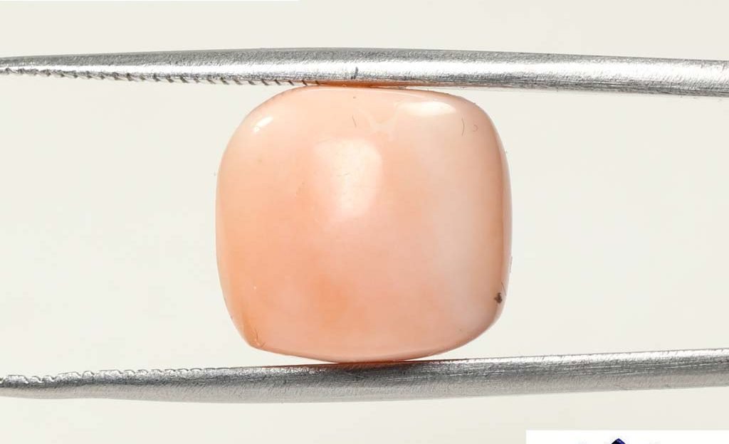 CRL3790 1 e1683001796547 Coral 11.29 Ct.