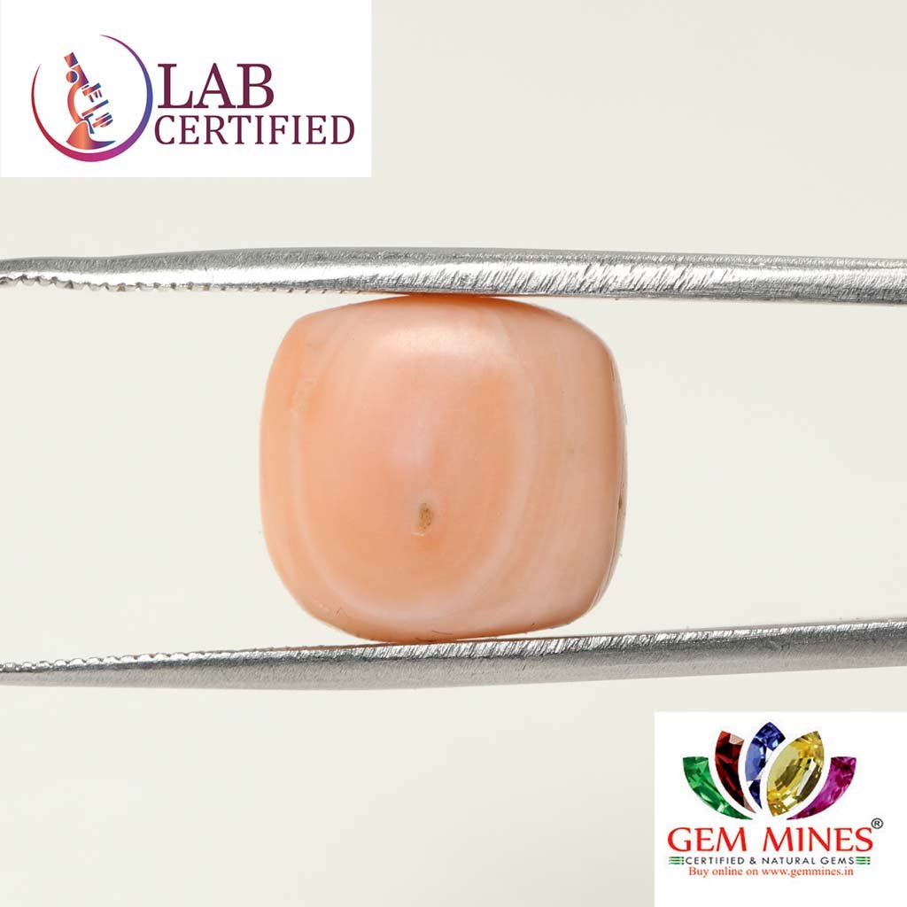 CRL3790 2 Coral 11.29 Ct.
