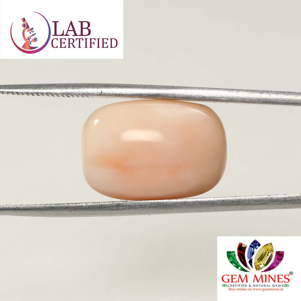 Coral 17.37 Ct. 3 CRL3792 2 Coral 17.37 Ct.