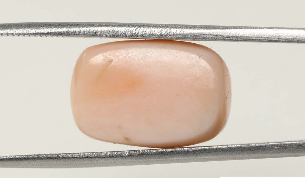 Coral 16.1 Ct.