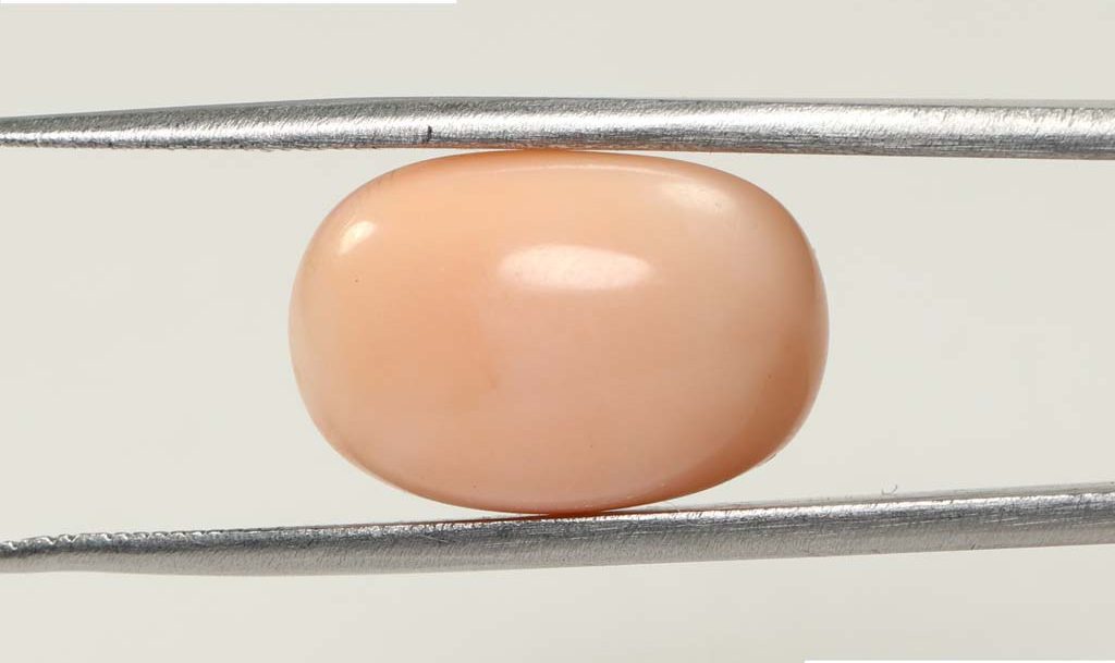 Coral 14.19 Ct.