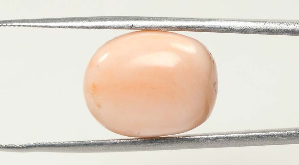 CRL3795 1 e1679657800723 Coral 17.4 Ct.
