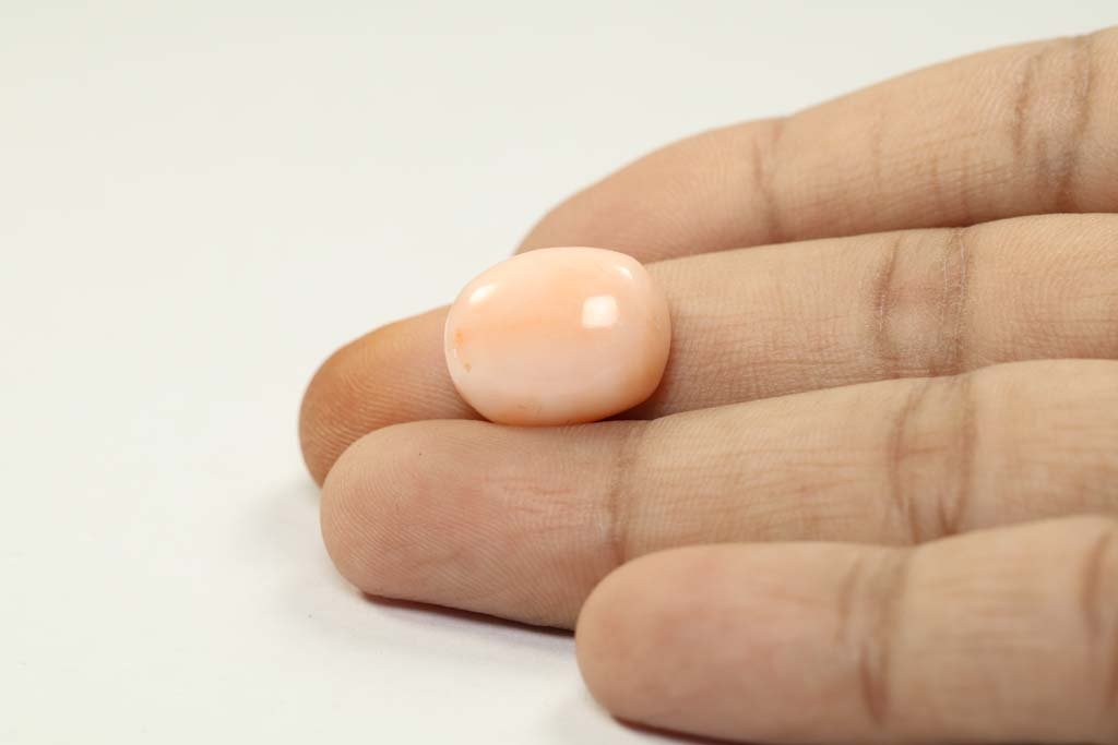 CRL3795 3 Coral 17.4 Ct.