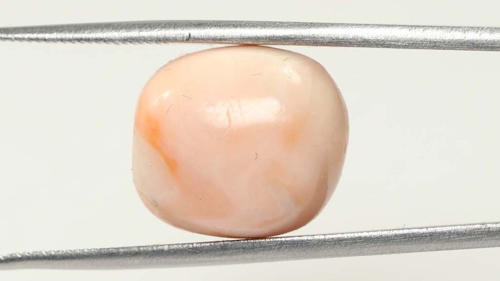 CRL3796 1 e1679657558672 Coral 16.43 Ct.