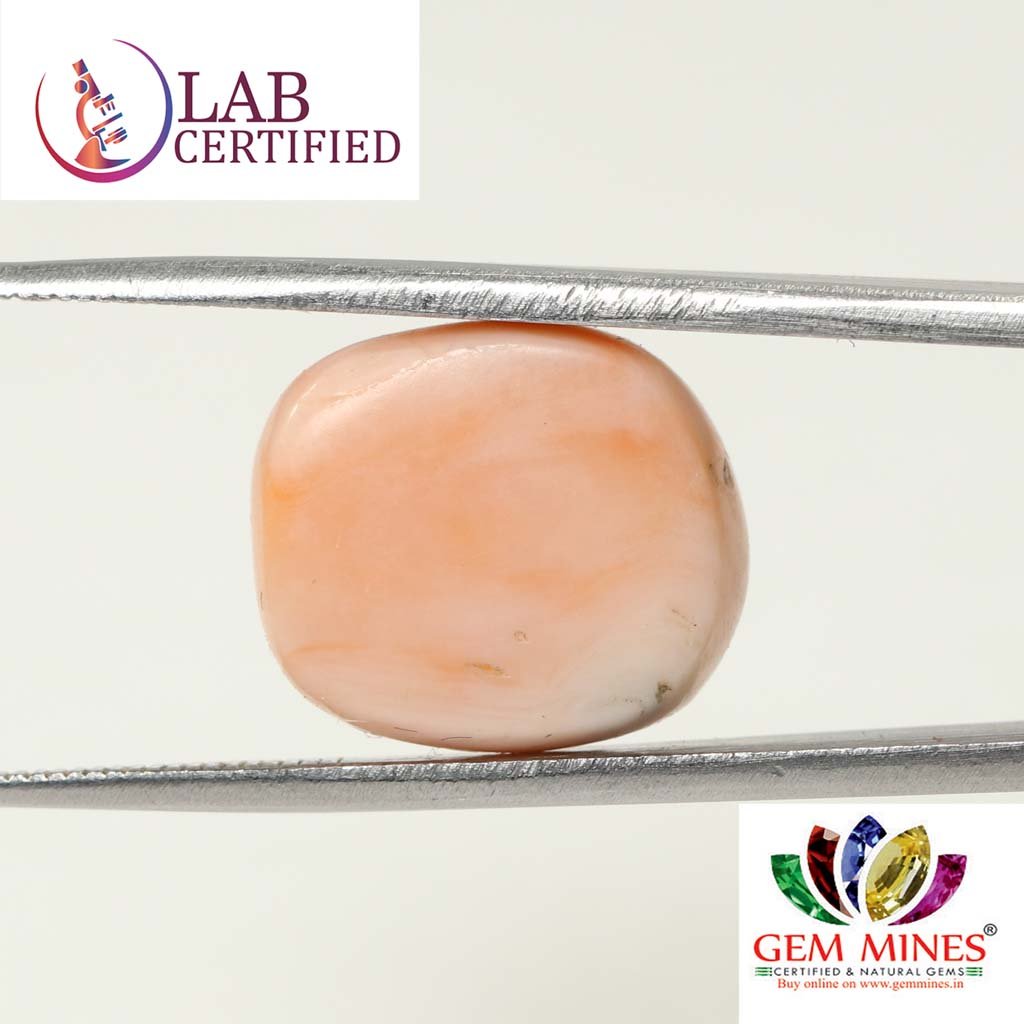 CRL3796 2 Coral 16.43 Ct.