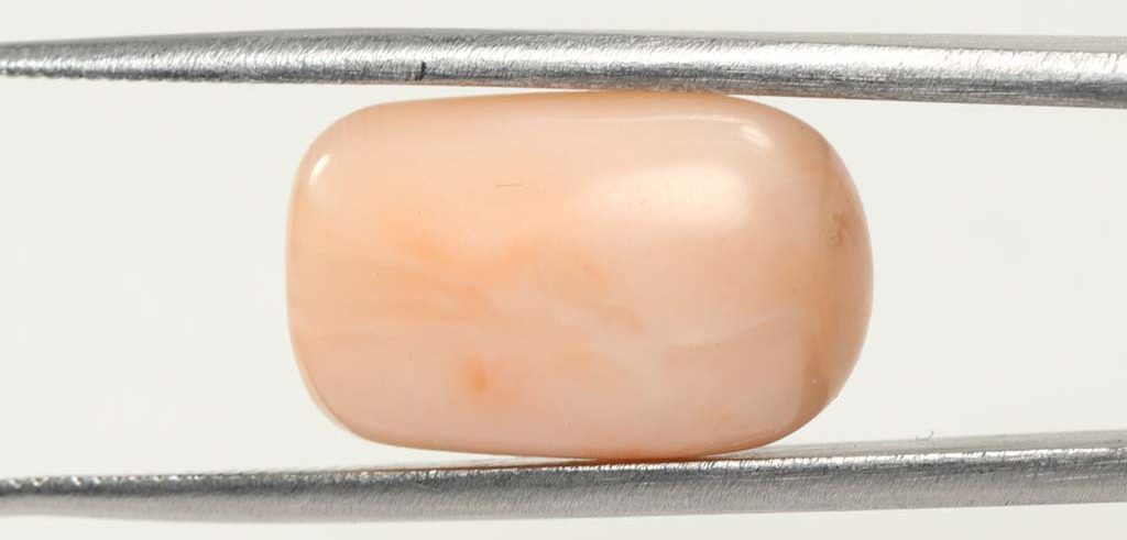 Coral 13.7 Ct.