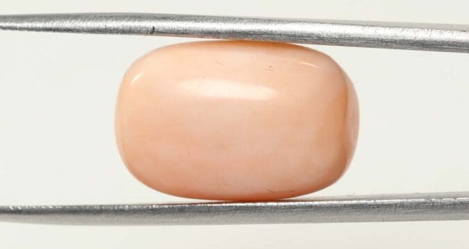 CRL3798 1 e1679657364851 Coral 14.16 Ct.