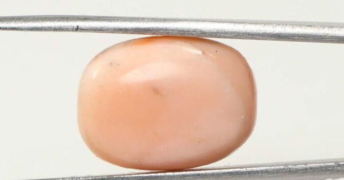 CRL3800 1 e1679657101928 Coral 13.24 Ct.