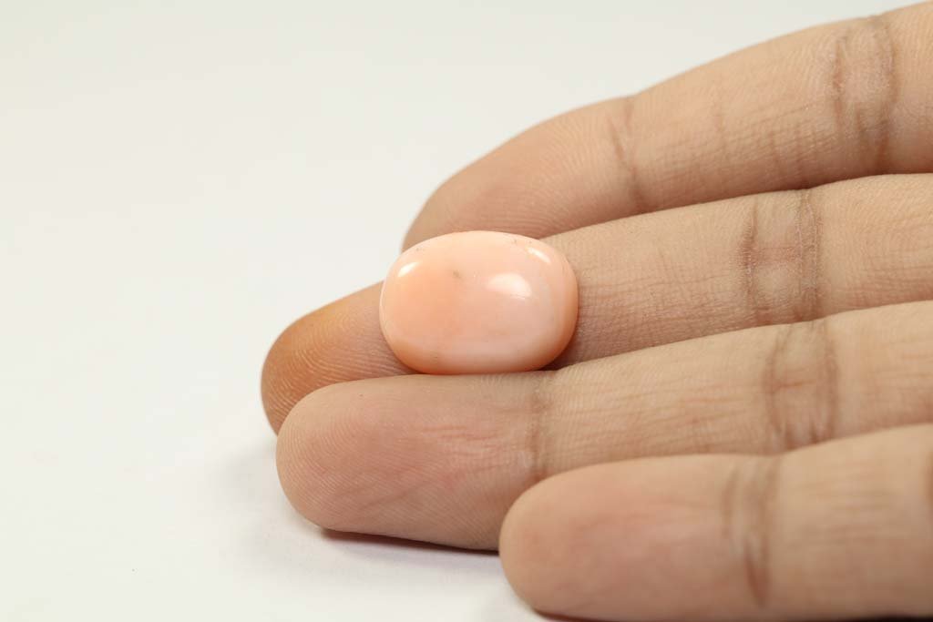 CRL3800 3 Coral 13.24 Ct.