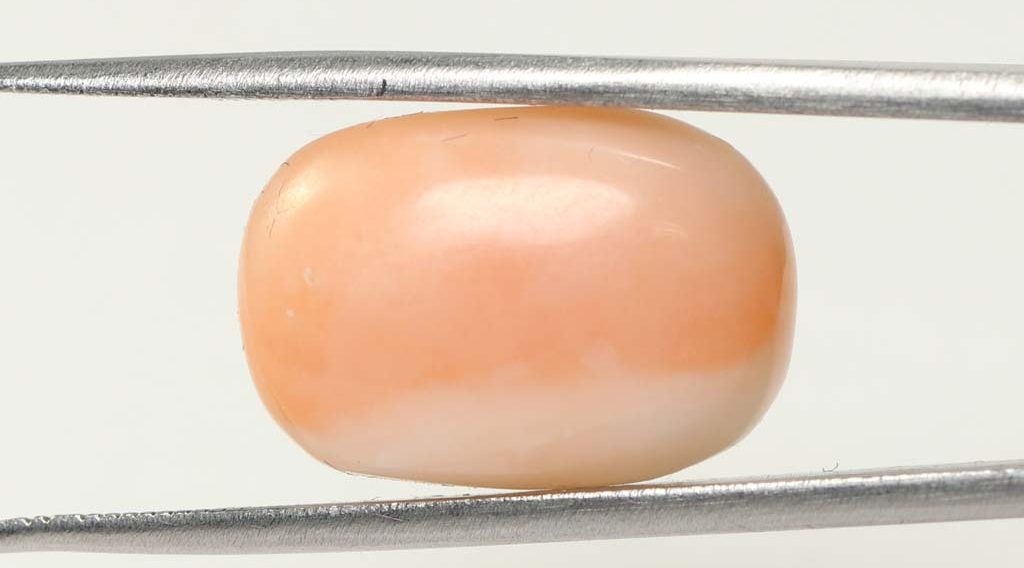 Coral 12.37 Ct.