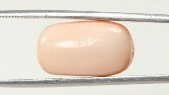 CRL3803 1 e1679656889123 Coral 16.7 Ct.