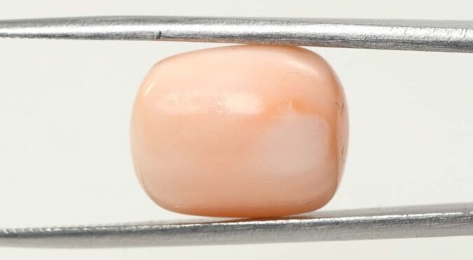 CRL3804 1 e1679656656679 Coral 12.41 Ct.